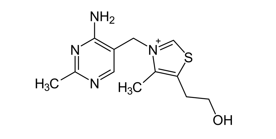 ΒΙΤΑΜΙΝΗ Β1(ΘΕΙΑΜΙΝΗ) ένα μυστικό όπλο ενέργειας ΒΙΤΑΜΙΝΗ Β1(ΘΕΙΑΜΙΝΗ) ένα μυστικό όπλο ενέργειας