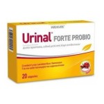 URINAL Forte Probio Με Εκχύλισμα Cranberry για την Καλή Υγεία του Ουροποιητικού 20caps