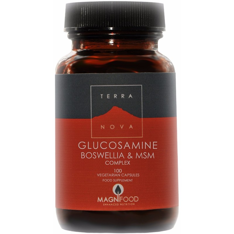 TERRANOVA Glucosamine , Boswellia & ΜSM Complex - Joint Support 100 κάψουλες