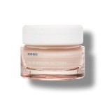 KORRES Apothecary Wild Rose Day Brightening Gel-Cream Κρεμα Προσώπου 24ωρης Ενυδάτωσης και Λάμψης για Κανονικές-Μικτές Επιδερμίδες με Βιταμίνη C 40ml