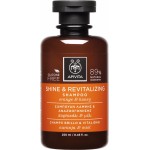 APIVITA Shine & Revitalizing Shampoo Σαμπουάν Λάμψης και Αναζωογόνησης  με Πορτοκάλι & Μέλι 250ml