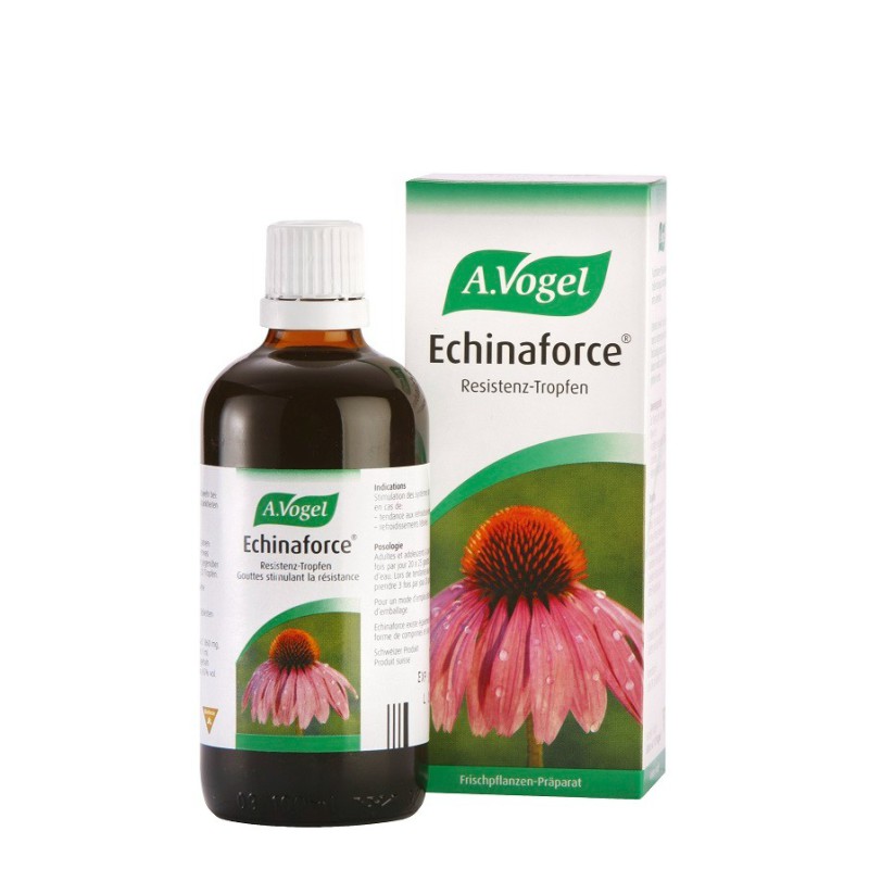 A.VOGEL Echinaforce Protect Συμπλήρωμα Διατροφής με Εχινάκεια για την Ενίσχυση του Ανοσοποιητικού Συστήματος σε Πόσιμη Μορφή 50ml