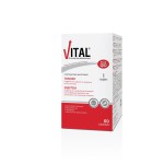 VITAL PLUS Q10 Πολυβιταμινούχο Συμπλήρωμα Διατροφής 60 Δισκία
